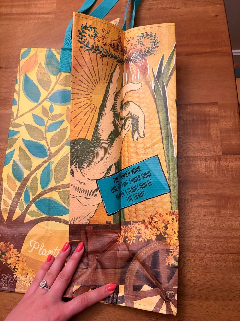 Trader Joe's Nebraska Reusable Grocery Bag - Picture 2 of 5